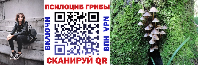 купить  цена  Пыталово  Галлюциногенные грибы мухоморы 